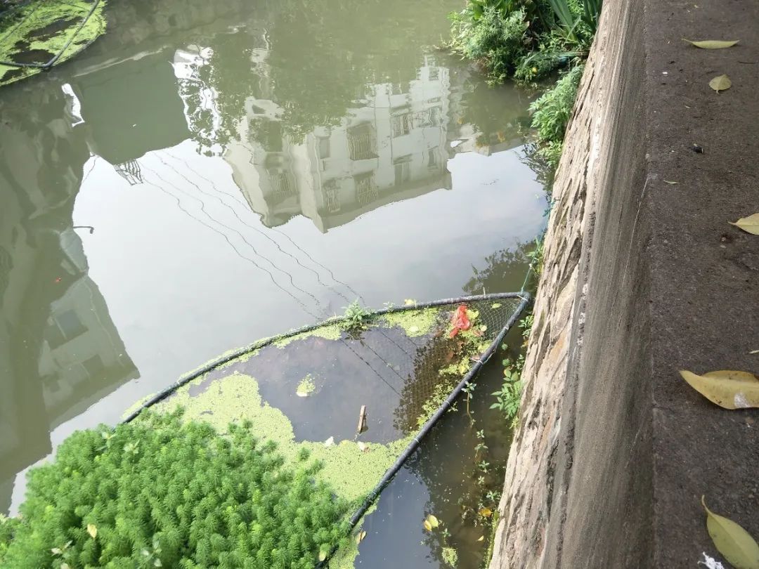 1591673211.jpg 微信图片_20200609112359.jpg