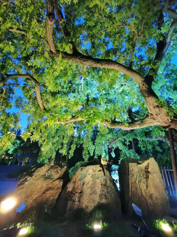 QQ截图20201015135304.png
