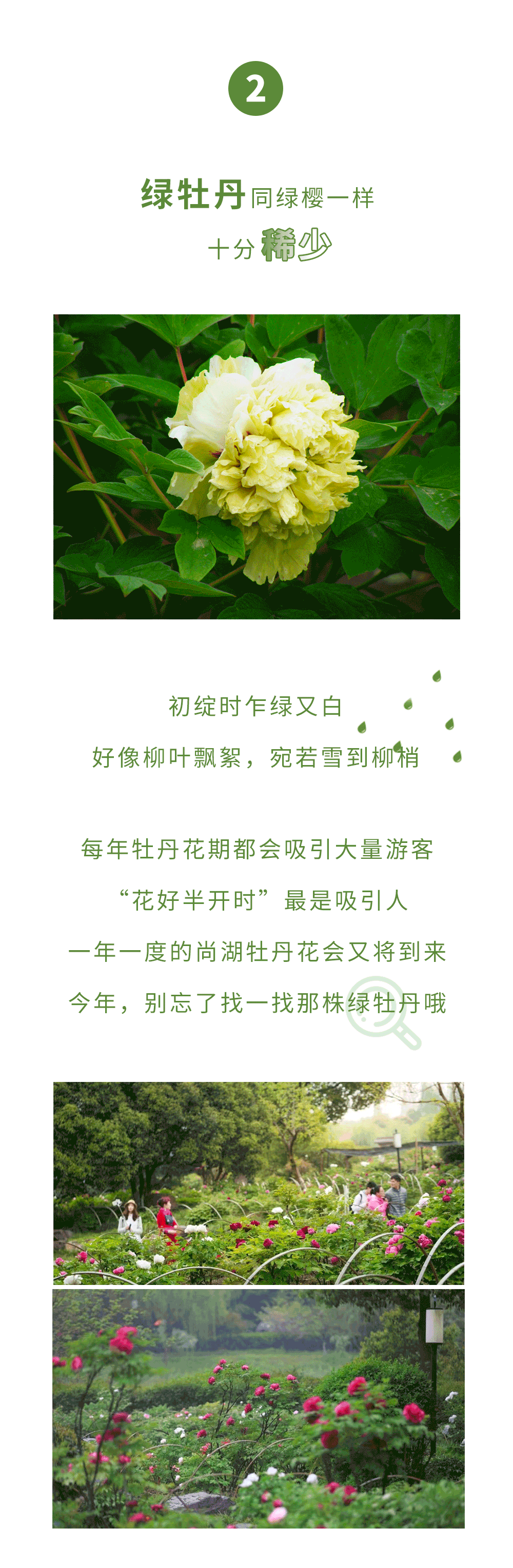 绿4.gif