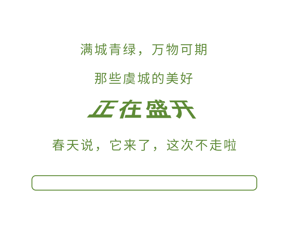 绿8.gif